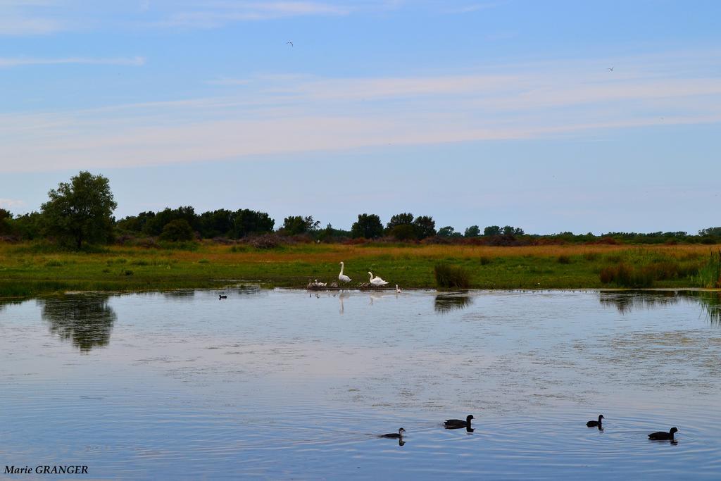 Gite Les Vents Du Large L'Aigrette Le Crotoy Buitenkant foto